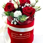 Crveni plišani boks