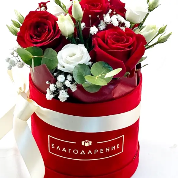 Crveni plišani boks