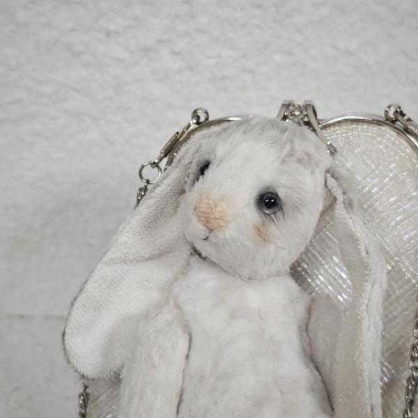 White Bunny